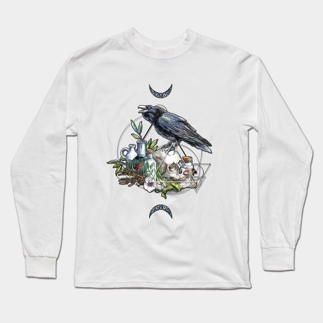 The Blue Raven Long Sleeve T-Shirt by IntheFrameShop